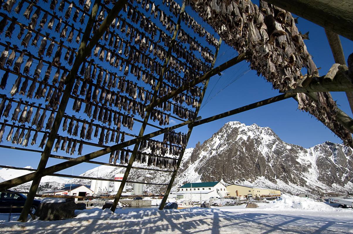 Fishracks (c) Terje Rakke/Nordic LIfe