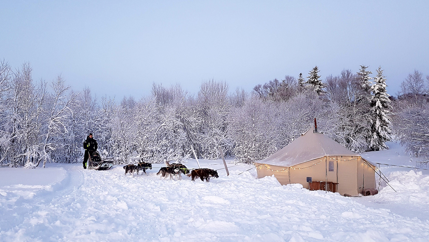 Senja Husky Adventure
