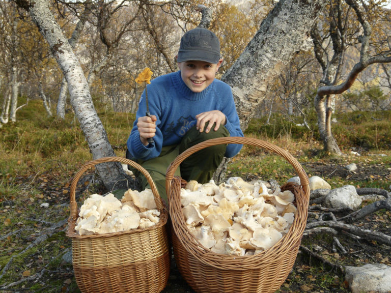 Mushroom picking in September © Ivan Arntzen