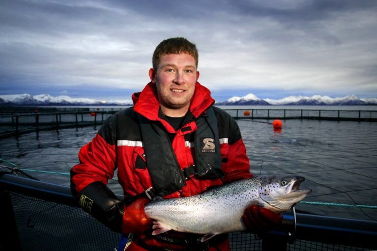 Catch of the day © Akvakultur i Vesterålen