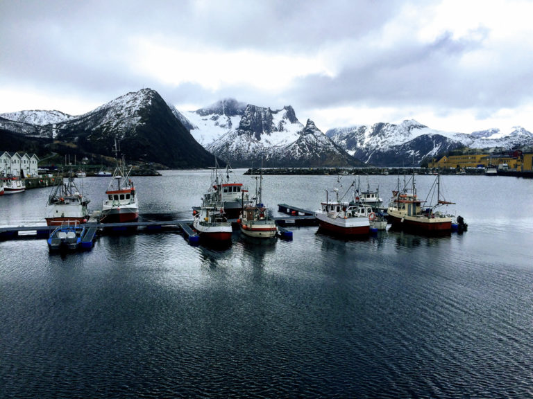 Havna på Husøy © Knut Hansvold