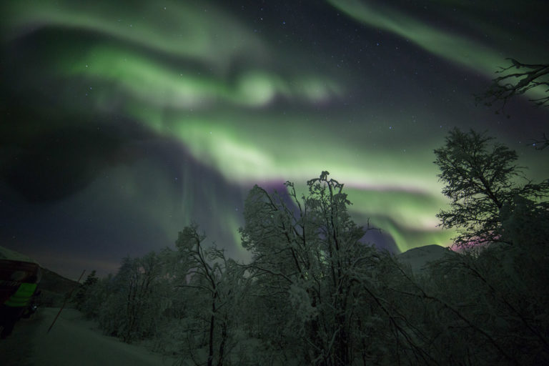 Frozen forest at Breivikeidet, a low, forested valley between two fjords. Do note the special spiral in the middle © William Copeland