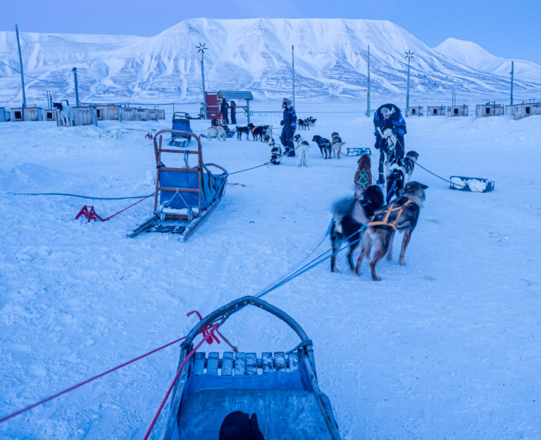 Masse kontakt med hundene inngår. De elsker å være ute © Ann J Nordvålen