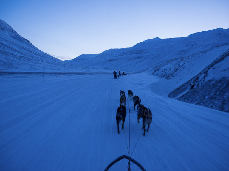 På hundetur i blåtimen © Jan Nordvålen