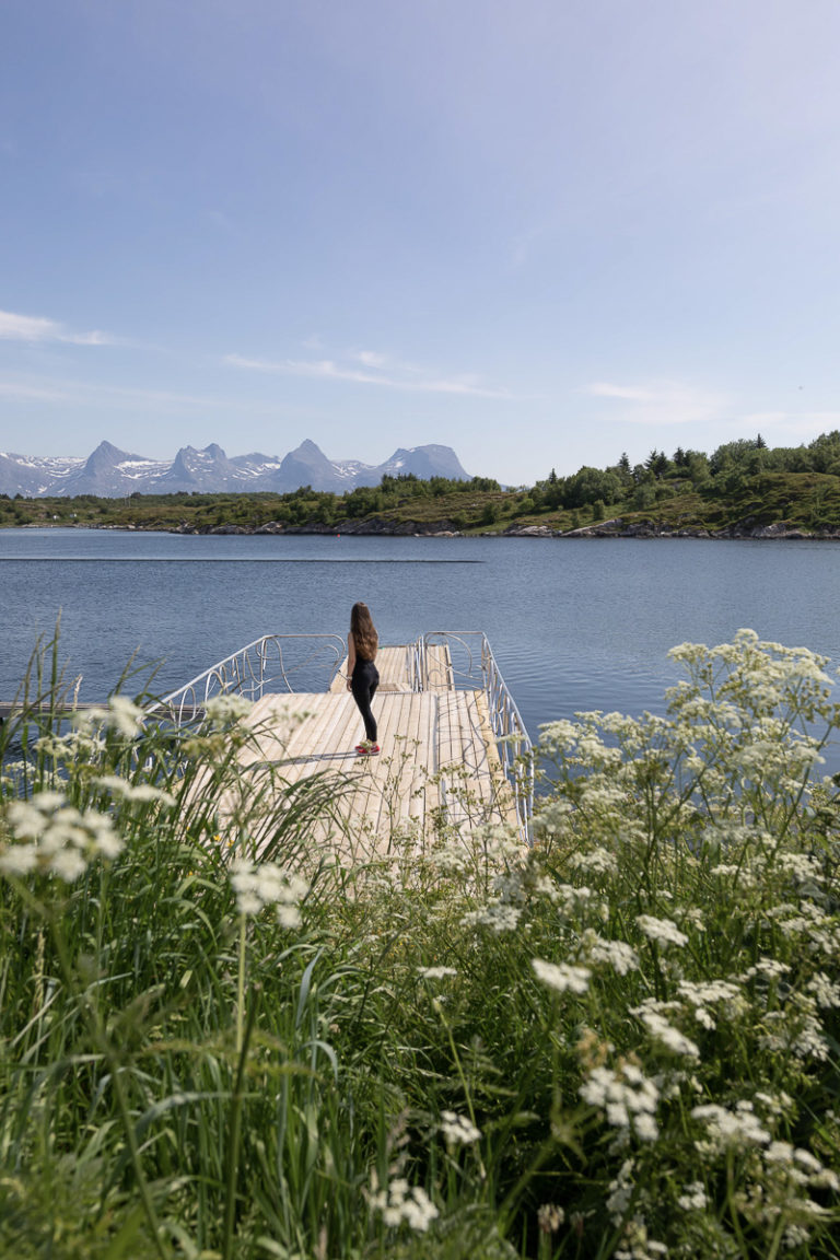 Hundekjeks, brygge og syv søstre på Herøy © Kathrine Sørgård