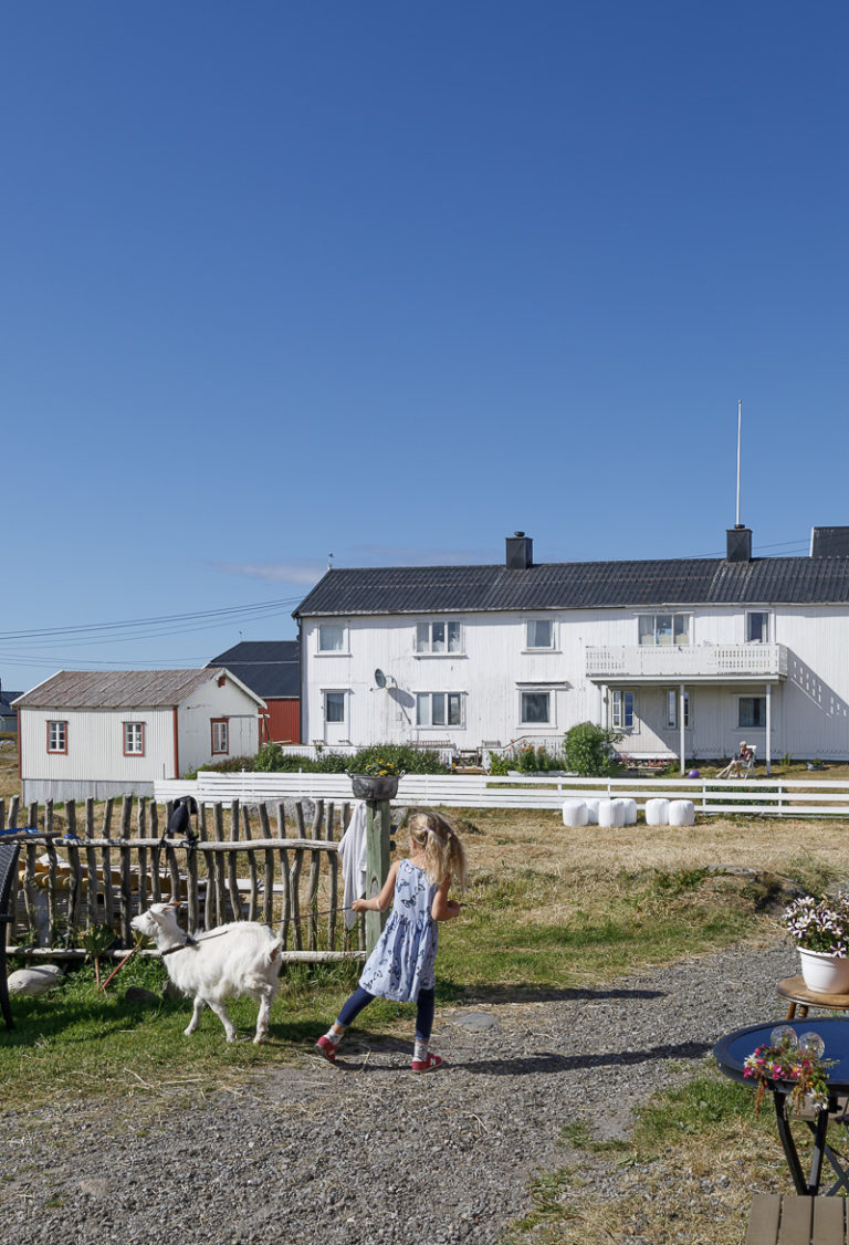 Lekekamerat © Kathrine Sørgård