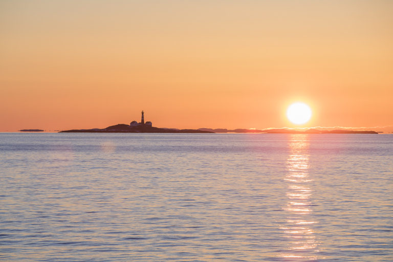 Nordlandskysten kan flørtekunsten © Kathrine Sørgård