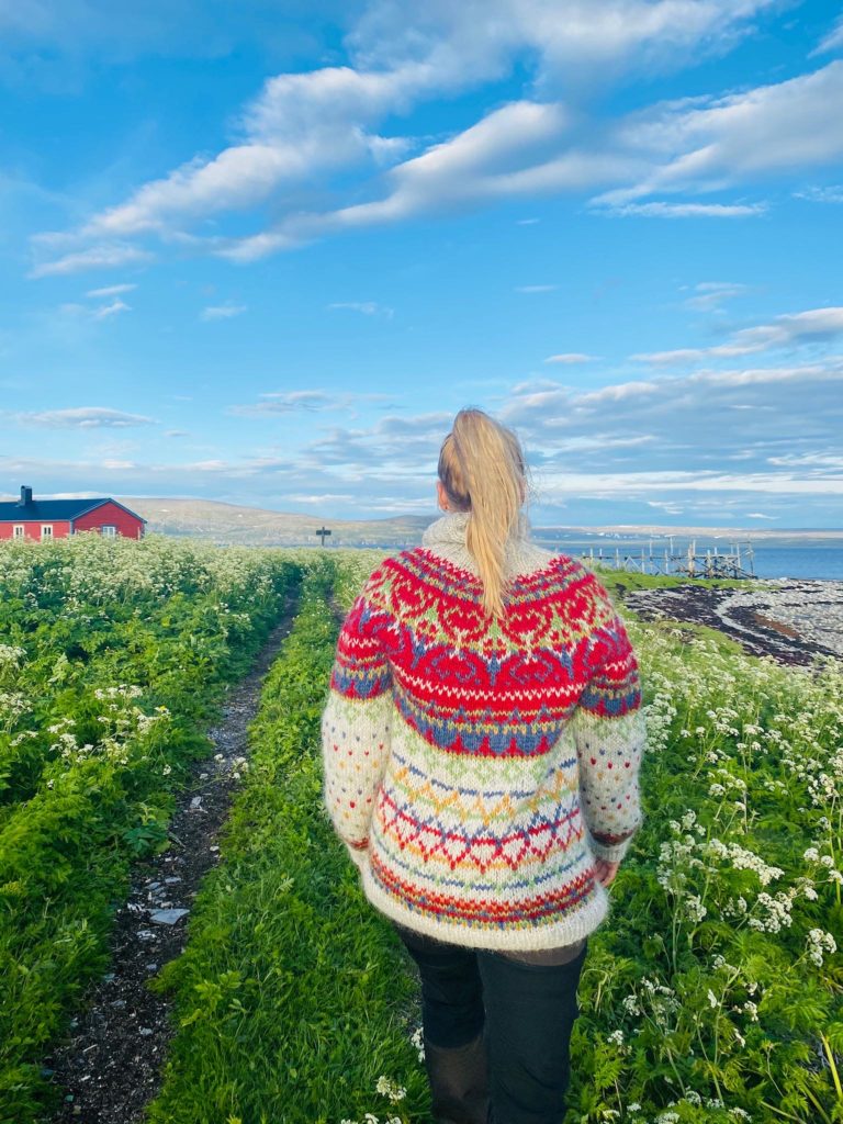 Sommerlandskap på nesten 71 grader nord på Tamsøya. Legg merke til ullgenseren © Runa Elde Skarset
