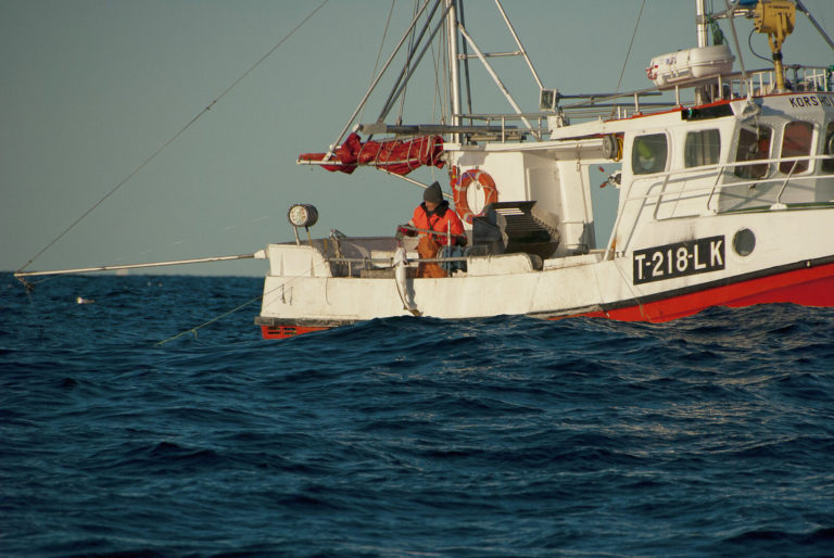 Cod fishing at Malangsgrunnen bank off Senja Island © Reiner Schaufler