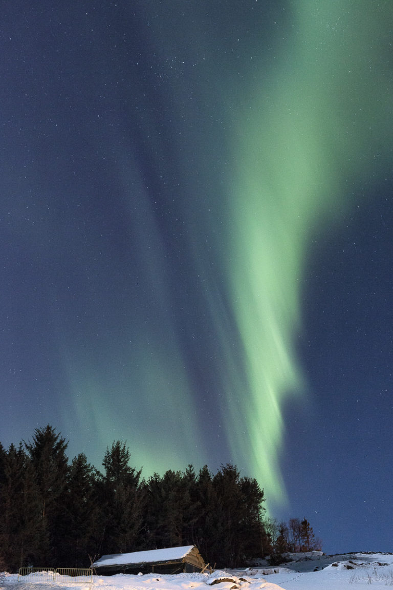 Northern Lights over Trondenes Mediaeval farm © Harriet M. Olsen/Sør-Troms Museum