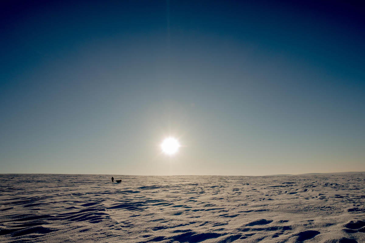 Finnmarksvidda