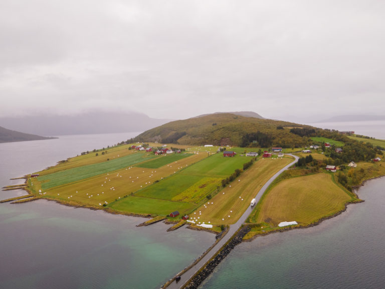 Do you see the line between the forest and the lush farmland on the Island of Kvæøya? The ocean went this far up after the end of the ice age © Lars Åke Andersen