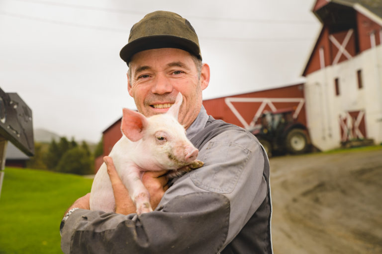 A piglet with a happy life ahead © Lars Åke Andersen
