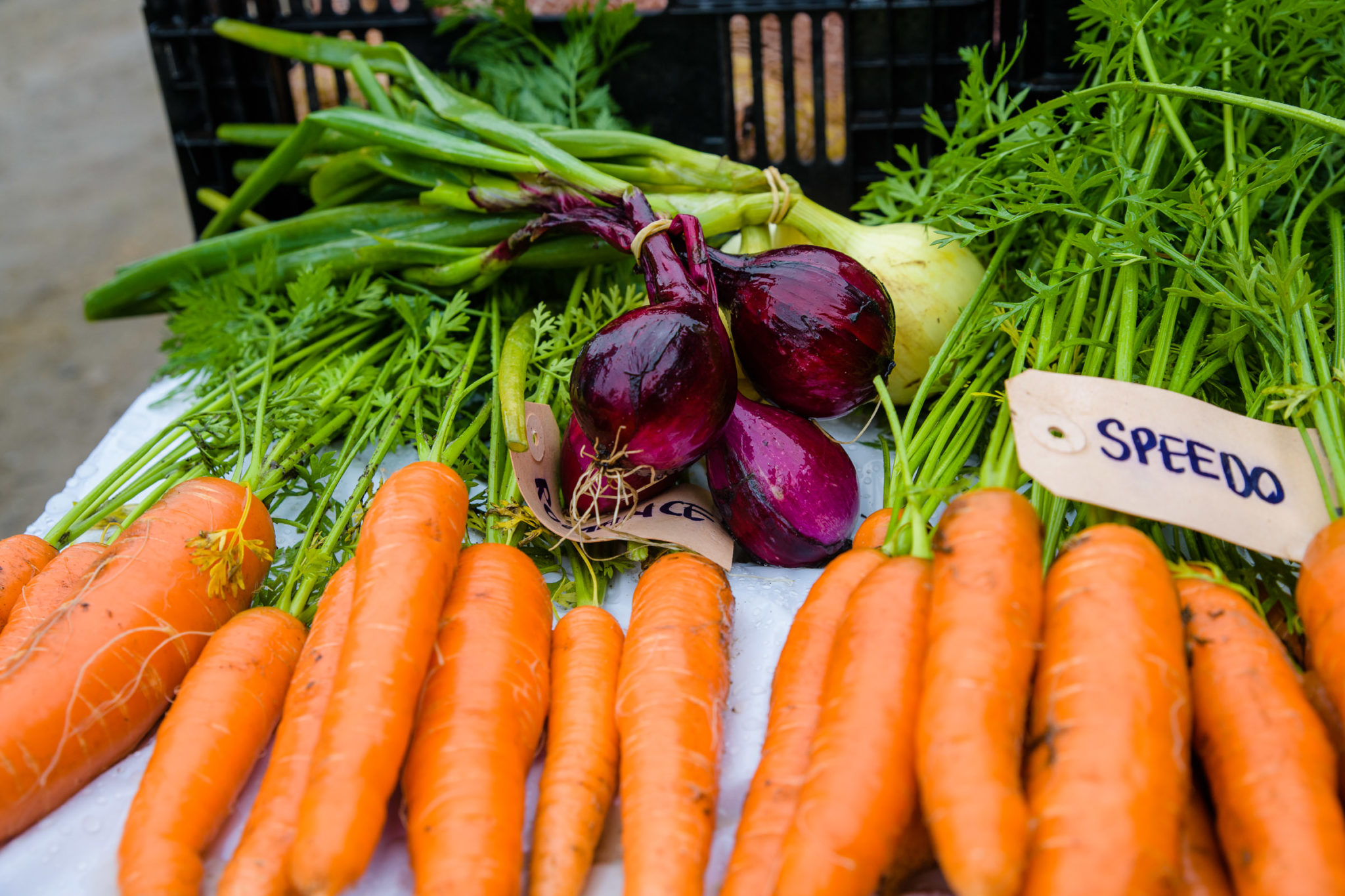 Ecological, fresh and tasty © Lars Åke Andersen