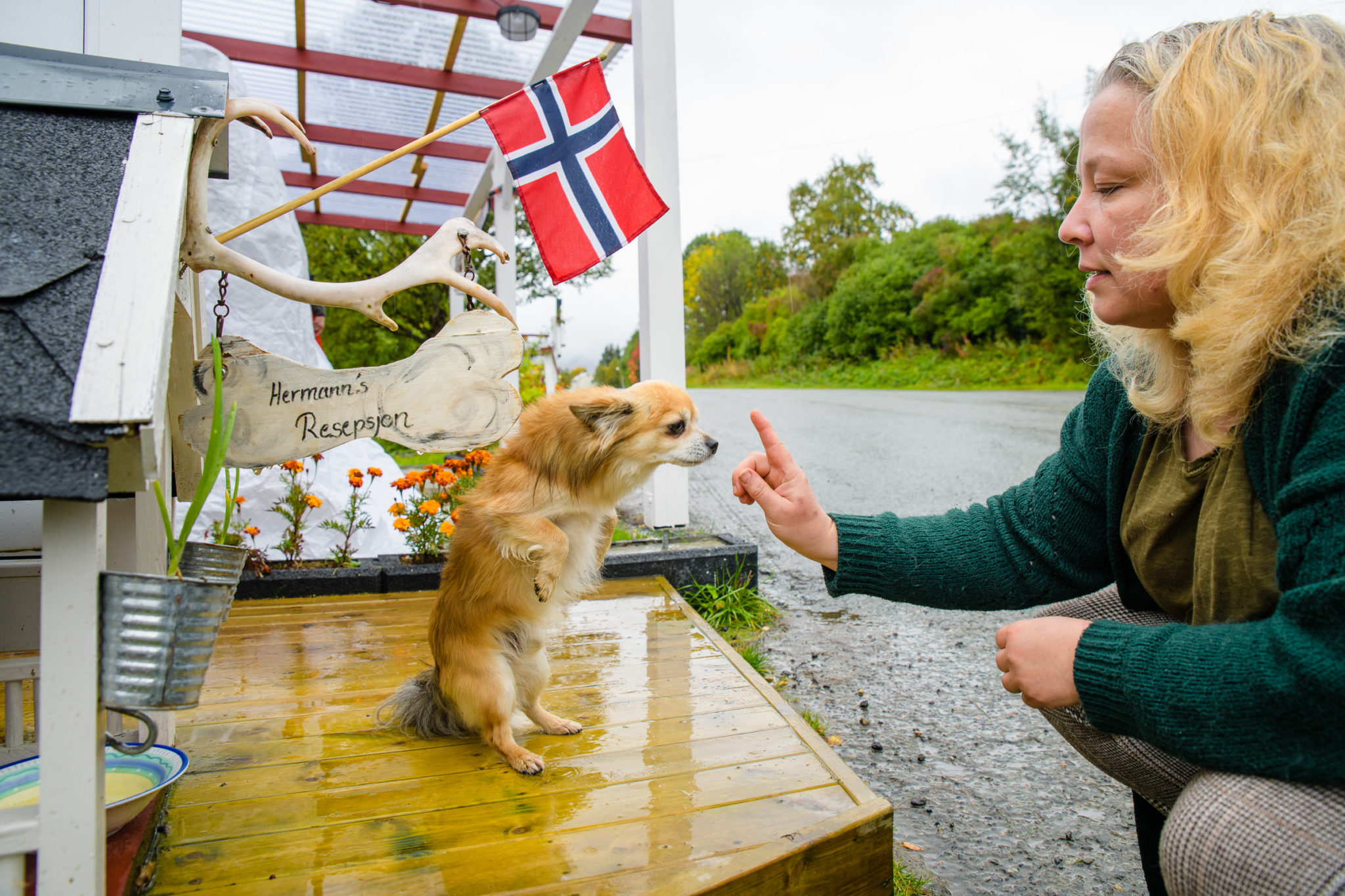 Welcome to Refsnes © Lars Åke Andersen