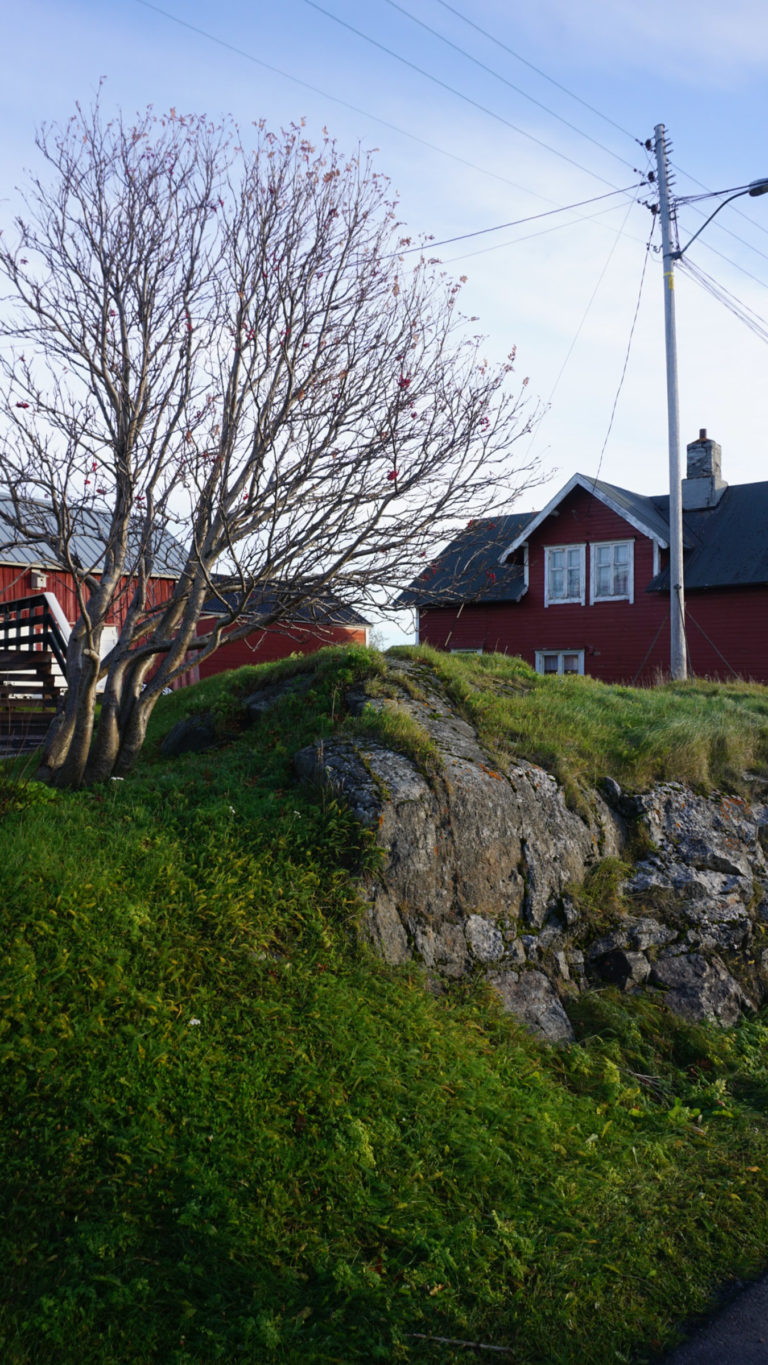 Oktoberstemning i Bugøynes © Knut Hansvold