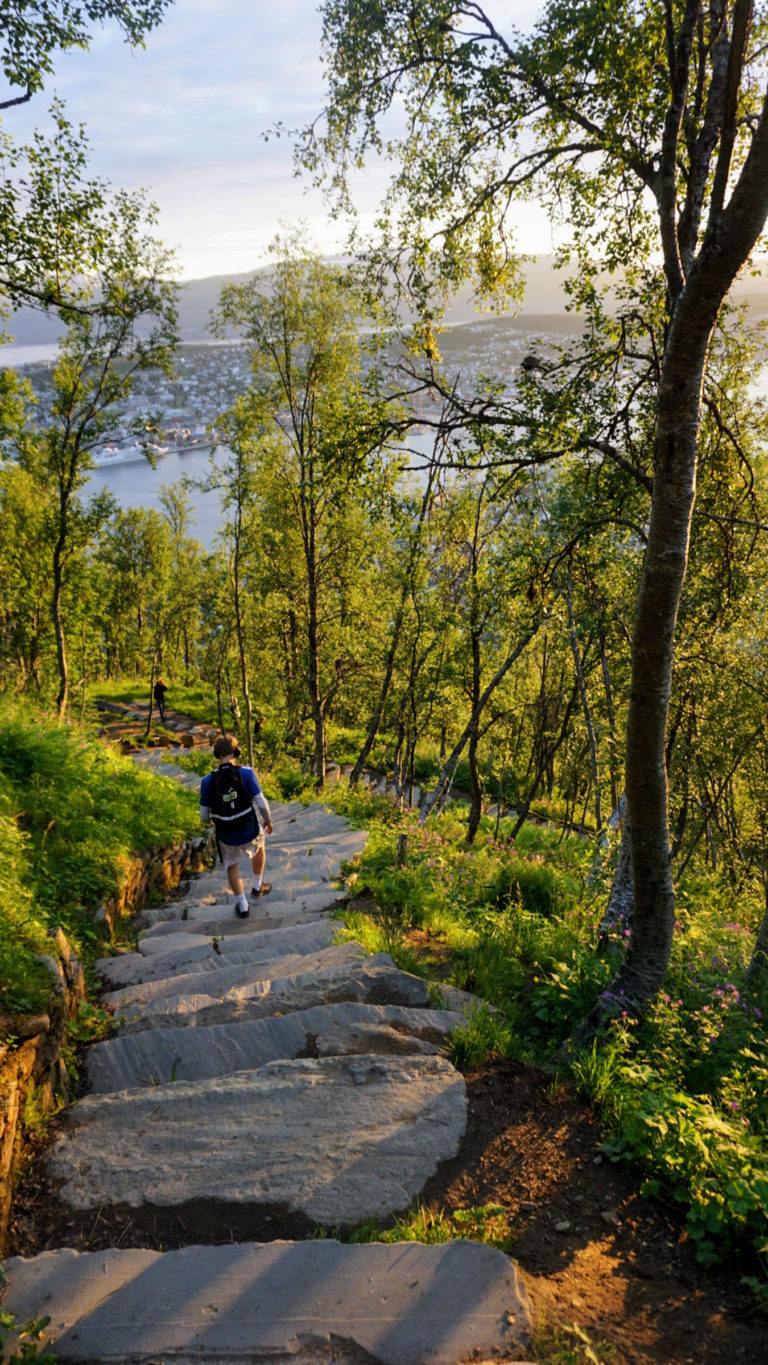 Ned trappa en sommernatt © Knut Hansvold