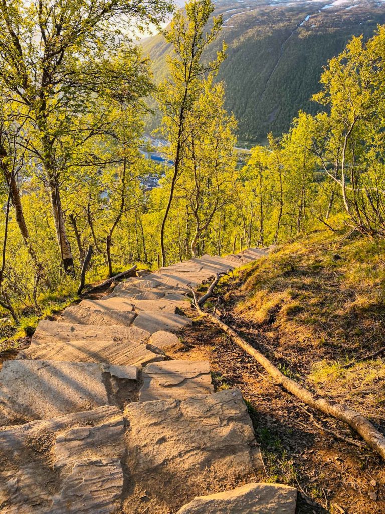 Midtveis i trappa en juninatt © Knut Hansvold