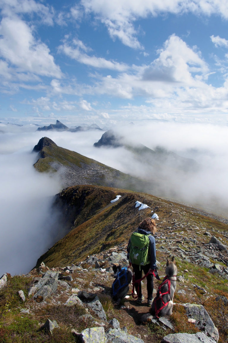 Fog at Husfjellet © Werner Harstad / Statens vegvesen