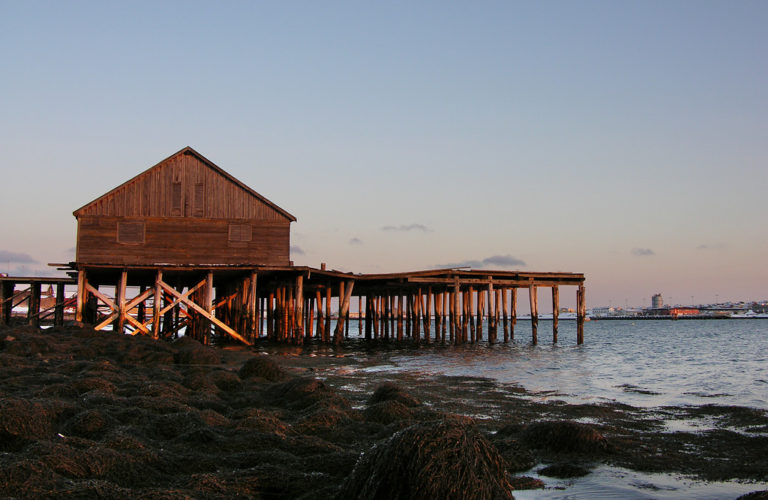 The tide difference is big in the far northeast, so the old wharves have high stilts © Werner Harstad / Statens vegvesen