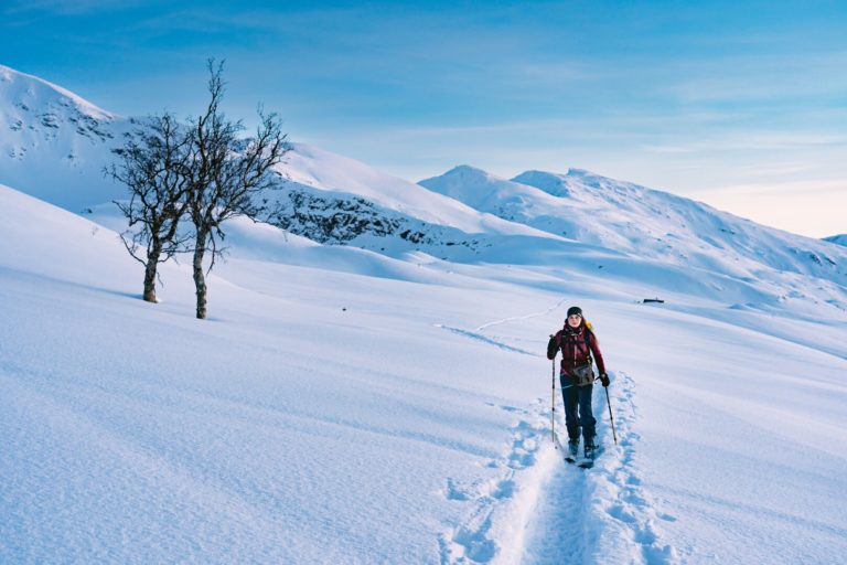 Cross-country skiing in Lyngenfjord © Petr Pavlíček / Visit Lyngenfjord