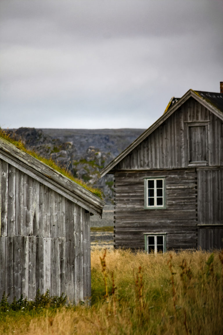 Weed and straws are allowed to grow between the houses in Hamningberg, as the village was abandoned in 1970 © Katelin Pell