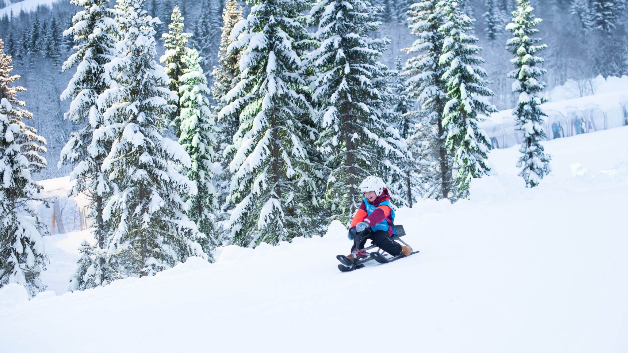 Have fun in Narvikfjellet. Foto: Kjetil Janson / visitnarvik.com