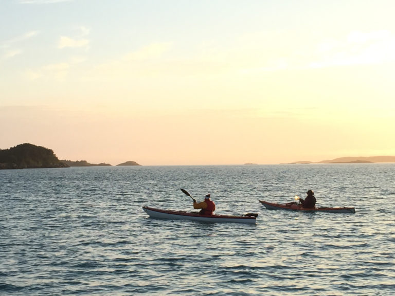 Et mylder av øyer kan nås fra Hamn i Senja. Foto: Kristin Harila / nordnorge.prod.dekodes.no
