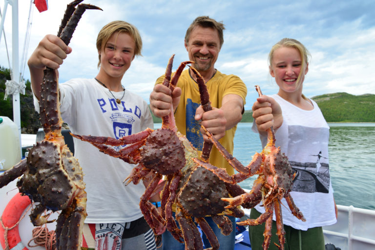 Kongekrabbe. Foto: Torild Moland / Reiselyst
