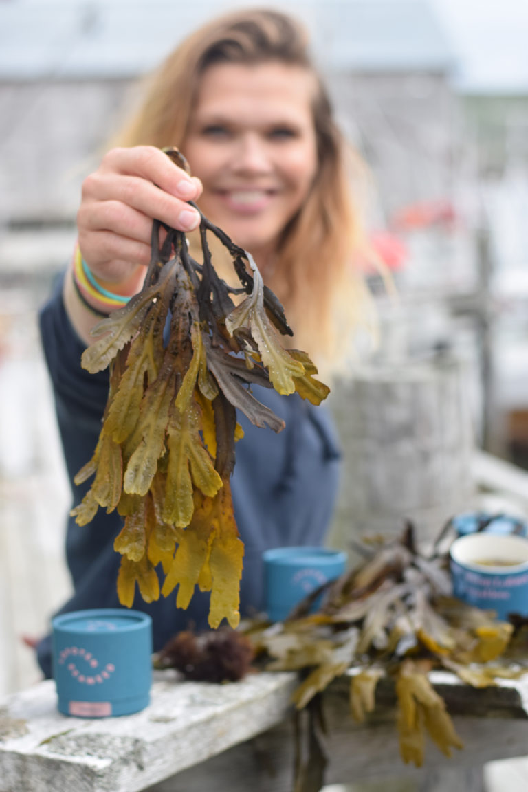 Lofoten SeaWeed. Foto: Mari Bareksten