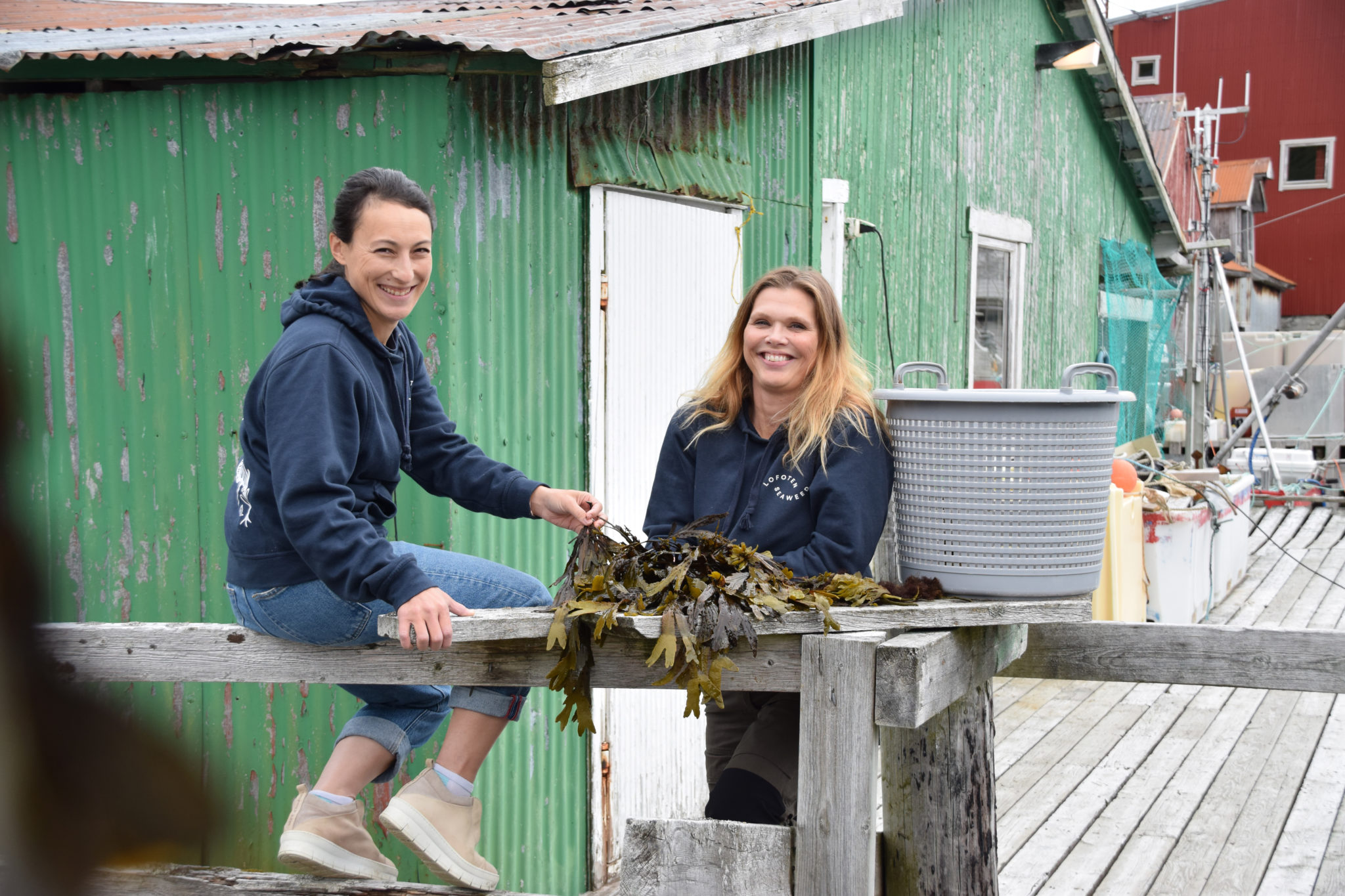 Lofoten SeaWeed. Foto: Mari Bareksten