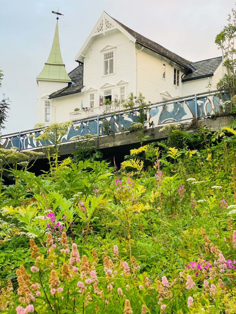 Villa Fagerheim on a grey summer day, with blooming Tromsø palms (Heracleum persicum) – a variant of giant hogweed – in front. Seen from the Andersontrappa steps © Knut Hansvold