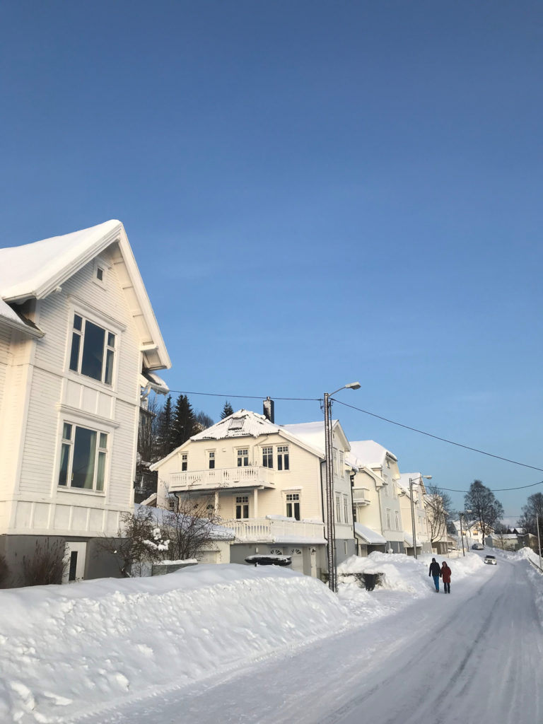 A row of fine 1920s houses on Dramsvegen © Knut Hansvold